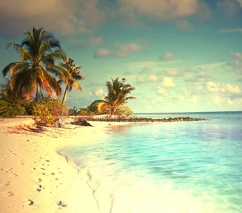 New 2016 Art fabric photography backdrops photo studio photographic background Seaside beach XT-3533
New 2016 Art fabric photography backdrops photo studio photographic background Seaside beach XT-3533
