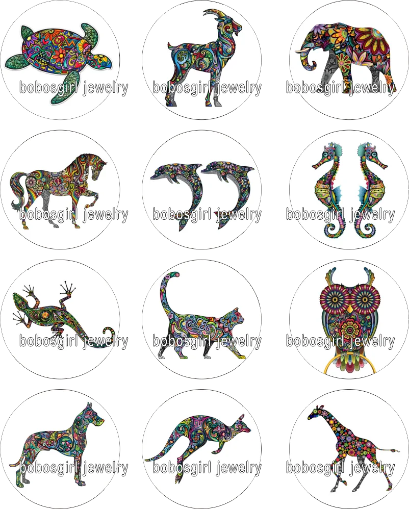 Animals Art DOG CAT OWL glass snap button Jewelry photo Round cabochon flat back Gl351
Animals Art DOG CAT OWL glass snap button Jewelry photo Round cabochon flat back Gl351