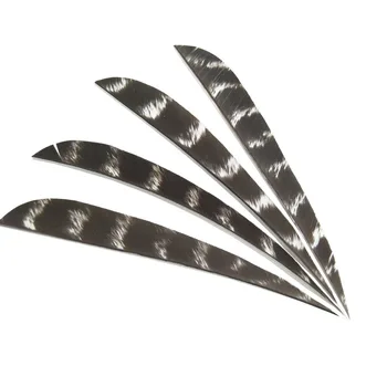 50pcs Archery Turkey Feather Right Wing Arrow Drop Feather 5 Inch Natural Arrow Vanes Teardrop fletched Arrow Accessories
50pcs Archery Turkey Feather Right Wing Arrow Drop Feather 5 Inch Natural Arrow Vanes Teardrop fletched Arrow Accessories