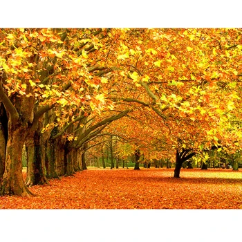 GLymg Diy Diamond Embroidery 5d Diamond Painting Rhinestones Embroidery Autumn Forest Leaves Craft Painting Wall Arts Decor
GLymg Diy Diamond Embroidery 5d Diamond Painting Rhinestones Embroidery Autumn Forest Leaves Craft Painting Wall Arts Decor
