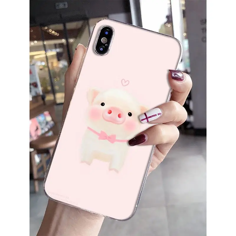 Cat Cartoon Cute Mouse Pig Cats Dog