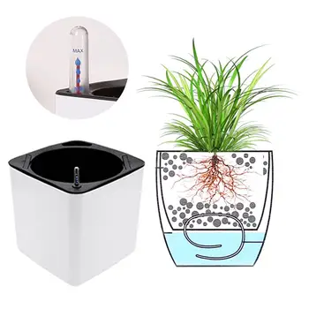 Cube Automatic Suction Storage Resin Flower Pot Lazy Visible Water Level Injection Potted Desktop Greening Water Basin
Cube Automatic Suction Storage Resin Flower Pot Lazy Visible Water Level Injection Potted Desktop Greening Water Basin