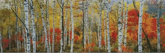 Needlework,Embroidery,DIY Autumn Birches Scenic Counted Unprinte Cross stitch kits,Art Pattern sets Cross-Stitching decor
Needlework,Embroidery,DIY Autumn Birches Scenic Counted Unprinte Cross stitch kits,Art Pattern sets Cross-Stitching decor