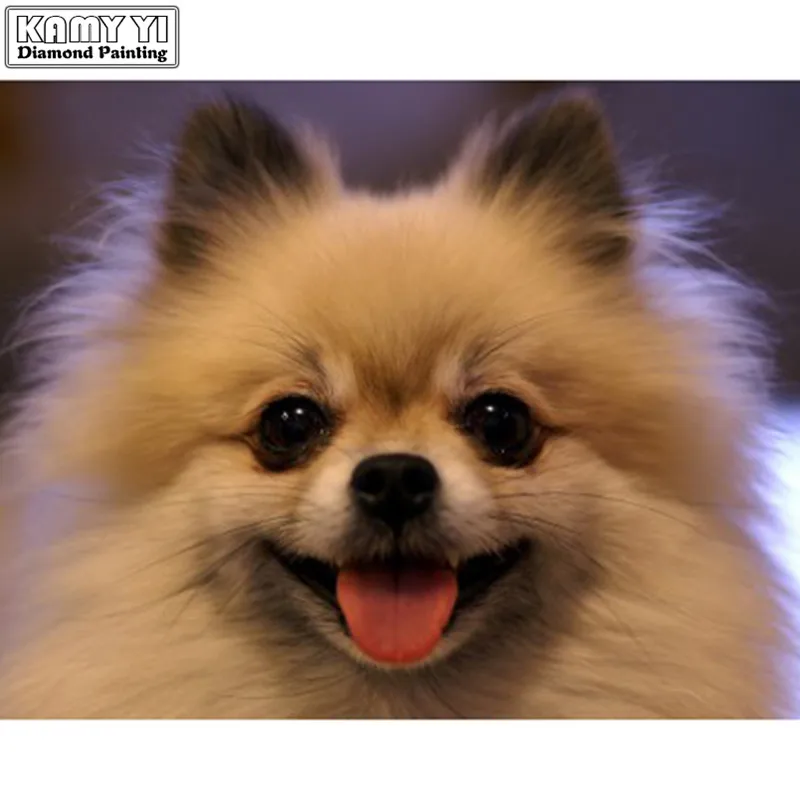 Diy Full Diamond Painting Cross Stitch Household Decoration Dog Diamond Mosaic Embroidery Painting
Diy Full Diamond Painting Cross Stitch Household Decoration Dog Diamond Mosaic Embroidery Painting