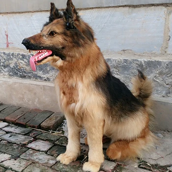 large 80x90cm simulation wolfhound hard model polyethylene& furs squatting shepherd handicraft home decoration gift s2655
large 80x90cm simulation wolfhound hard model polyethylene& furs squatting shepherd handicraft home decoration gift s2655