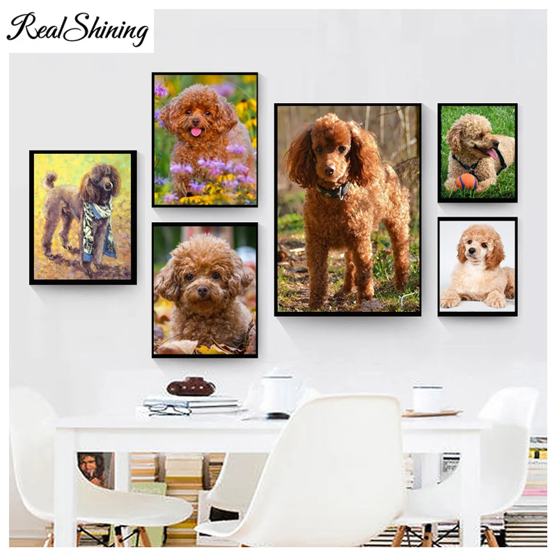5D Full square/Round Diamond embroidery poodle diamond Painting Cross Stitch Rhinestone Mosaic home decor dog pet picture FS5940
5D Full square/Round Diamond embroidery poodle diamond Painting Cross Stitch Rhinestone Mosaic home decor dog pet picture FS5940