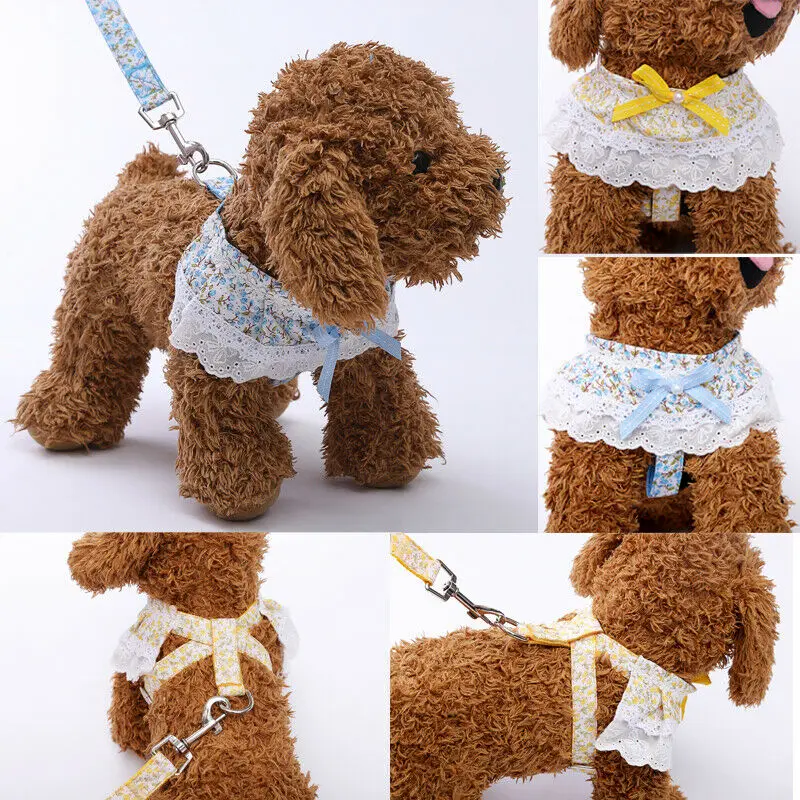 Breathable Mesh Small Dog Pet Harnesses and Leash Set Cute Floral Lace Puppy Vest For Dog Cat Safety Belt Dog Chest Straps
Breathable Mesh Small Dog Pet Harnesses and Leash Set Cute Floral Lace Puppy Vest For Dog Cat Safety Belt Dog Chest Straps
