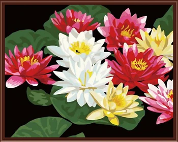 Frameless picture on wall acrylic painting by numbers diy canvas painting art Christmas gift Lotus coloring by numbers 40X50CM
Frameless picture on wall acrylic painting by numbers diy canvas painting art Christmas gift Lotus coloring by numbers 40X50CM