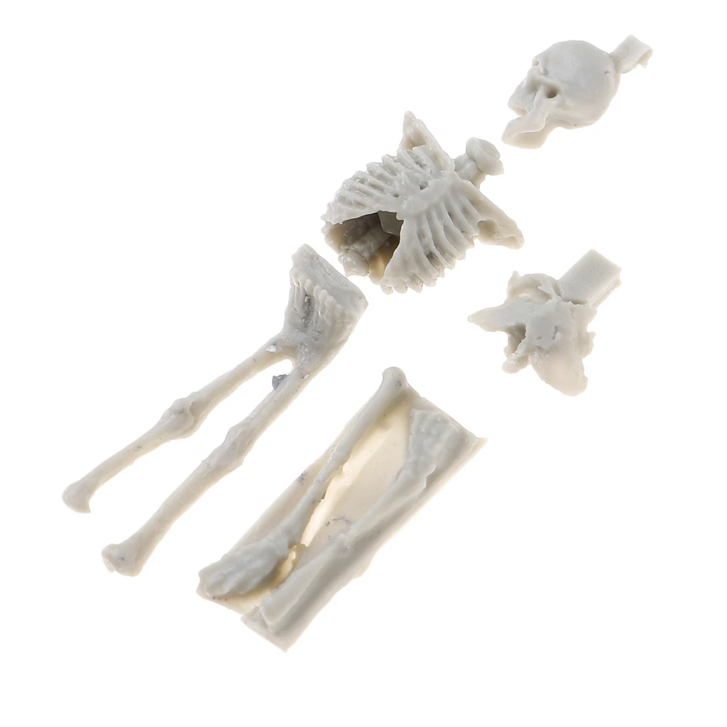 4Pcs 1:35 Scale Unpainted Unassemble Resin Skull Skeleton Model for Sand Table Armor Landcsape Diorama Building Toys