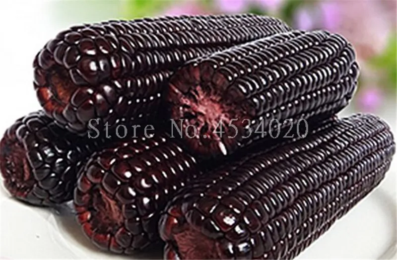 30 pcs/Bag Black Waxy Corn Bonsai Balcony Vegetables Family Potted Flowers Organic Vegetables And Fruit Melon bonsais planta
30 pcs/Bag Black Waxy Corn Bonsai Balcony Vegetables Family Potted Flowers Organic Vegetables And Fruit Melon bonsais planta
