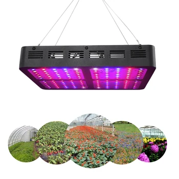 1200W LED Grow Light Full Spectrum, Double Chips 120 LEDs Optical Lens Growing Lamp with UV IR for Indoor Plants Veg and Flower
1200W LED Grow Light Full Spectrum, Double Chips 120 LEDs Optical Lens Growing Lamp with UV IR for Indoor Plants Veg and Flower