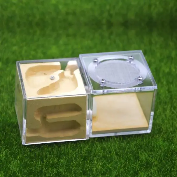 12*6*5cm Plaster Ant Nest Acrylic Ant Farm Ants Queen House Insect Cage Anthills Pet Ant House Granja De Hormigas Hormiguero
12*6*5cm Plaster Ant Nest Acrylic Ant Farm Ants Queen House Insect Cage Anthills Pet Ant House Granja De Hormigas Hormiguero