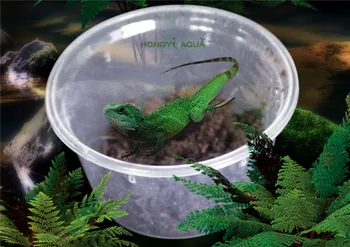 5 pieces/lot plastic insect feeding box keep the palace box plastic box reptile animal habitat small round box small square box
5 pieces/lot plastic insect feeding box keep the palace box plastic box reptile animal habitat small round box small square box