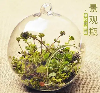 2pcs/lot,Transparent Terrarium Borosilicate Crystal Glass Hanging Vase, Flower plant vase, Home&Wedding Decoration
2pcs/lot,Transparent Terrarium Borosilicate Crystal Glass Hanging Vase, Flower plant vase, Home&Wedding Decoration