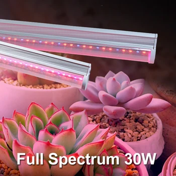 5pcs/lot Led Grow Lights Full Spectrum SMD5730 Lamp For Plants Phyto Lamp LED Strip For Indoor Seedlings Flowers Grow better
5pcs/lot Led Grow Lights Full Spectrum SMD5730 Lamp For Plants Phyto Lamp LED Strip For Indoor Seedlings Flowers Grow better