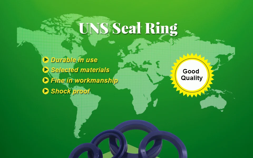 UNS Hydraulic Oil Seal (1)