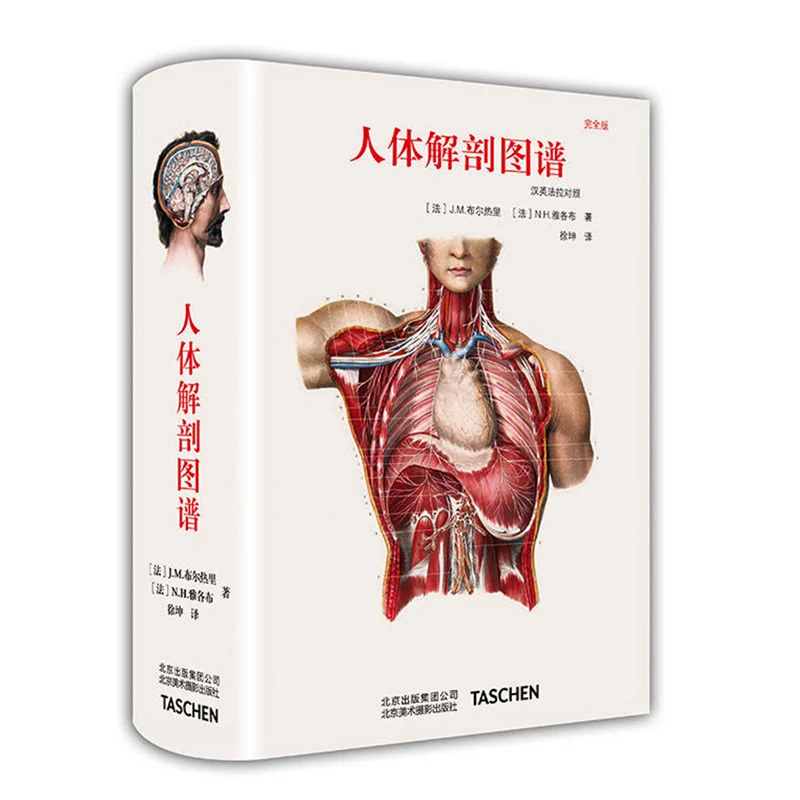 Atlas of Human Anatomy and Surgery Hardcover Medical Book (Multilingual) Latin/French/English/Chinese By J M Bourgery&N H Jacob
Atlas of Human Anatomy and Surgery Hardcover Medical Book (Multilingual) Latin/French/English/Chinese By J M Bourgery&N H Jacob