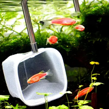Retractable Fishing Net For Aquarium Stainless Steel Rod Telescoping Non-Slip Rubber Handle Fish Shrimp Catch Net for Fish Tank
Retractable Fishing Net For Aquarium Stainless Steel Rod Telescoping Non-Slip Rubber Handle Fish Shrimp Catch Net for Fish Tank