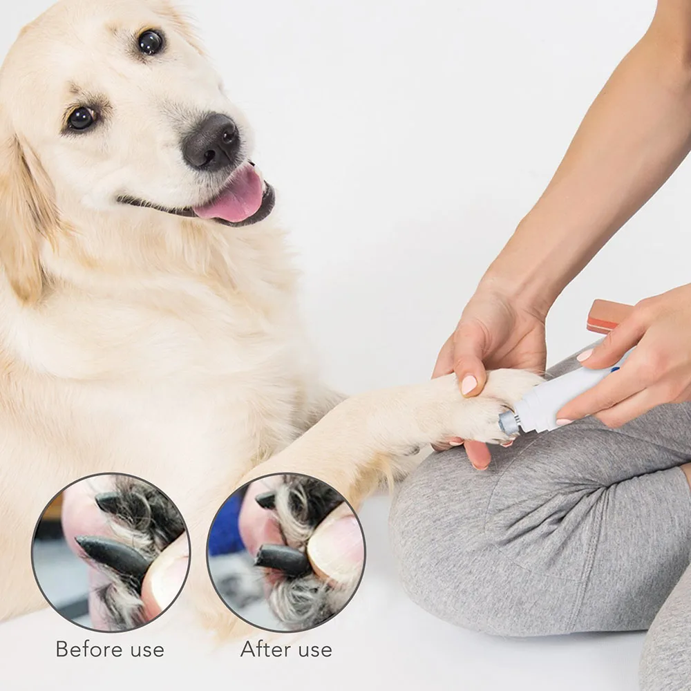 Electric Pet Nail Grinder Auto Cat Dog Nail Grooming File Professional Paws Grinder Clipper Trimmer Pet Nail Care Tool
Electric Pet Nail Grinder Auto Cat Dog Nail Grooming File Professional Paws Grinder Clipper Trimmer Pet Nail Care Tool