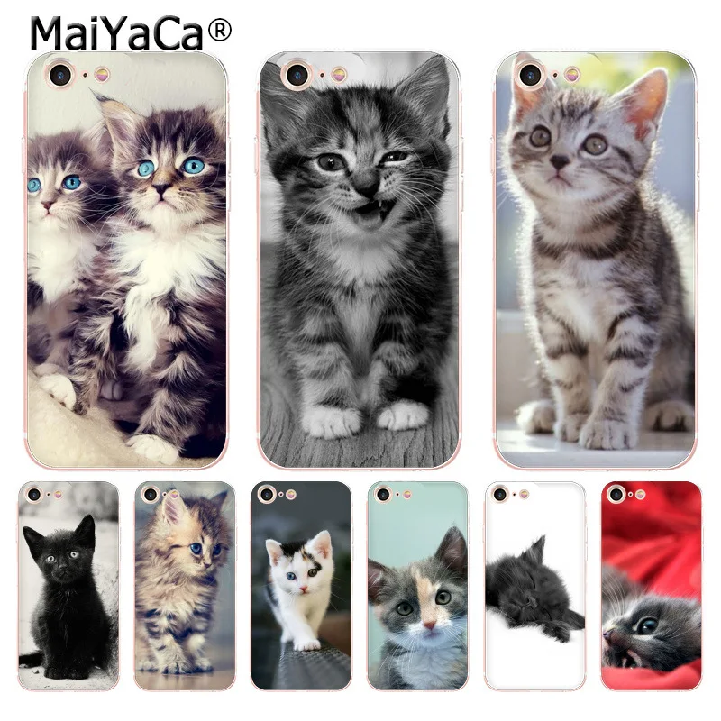 MaiYaCa For iphone 7 6 X Case Funny Kitten Cat Transparent Phone Cover Case for iPhone 8 7 6 6S Plus X 5 5S SE 5C XS XR Cases
MaiYaCa For iphone 7 6 X Case Funny Kitten Cat Transparent Phone Cover Case for iPhone 8 7 6 6S Plus X 5 5S SE 5C XS XR Cases