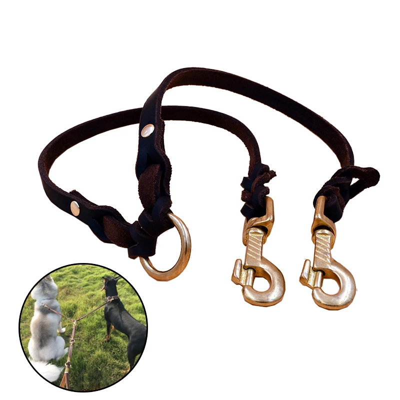 Double Leashes dog chain High Quality Dog Leash Pet Traction Traction Rope One Drag Two Dog For small Medium Large dog AYOUA
Double Leashes dog chain High Quality Dog Leash Pet Traction Traction Rope One Drag Two Dog For small Medium Large dog AYOUA