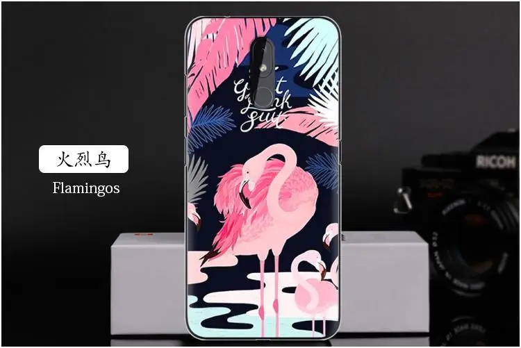 火烈鸟 Flamingos
