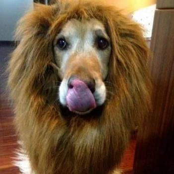 Hot Selling Fancy Dog Accessories For Large Dog Scarf Wig A Dog Breed Lion Dog Costume Big 80cm
Hot Selling Fancy Dog Accessories For Large Dog Scarf Wig A Dog Breed Lion Dog Costume Big 80cm
