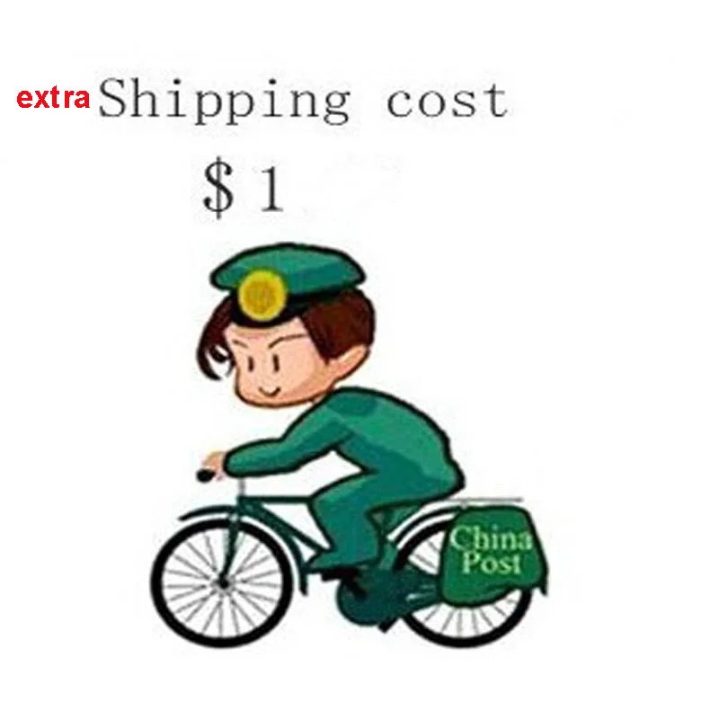 extra Shipping Cost by DHL / Fedex / UPS / SF Express--- etc
