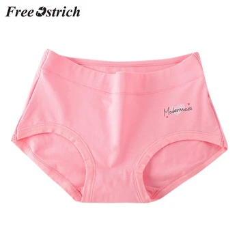 Free Ostrich L Xl Comfortable Simple Casual Women Plus Size Soft Sexy Brief Lingerie No Trace Thread Soild Underwear Panties
Free Ostrich L Xl Comfortable Simple Casual Women Plus Size Soft Sexy Brief Lingerie No Trace Thread Soild Underwear Panties