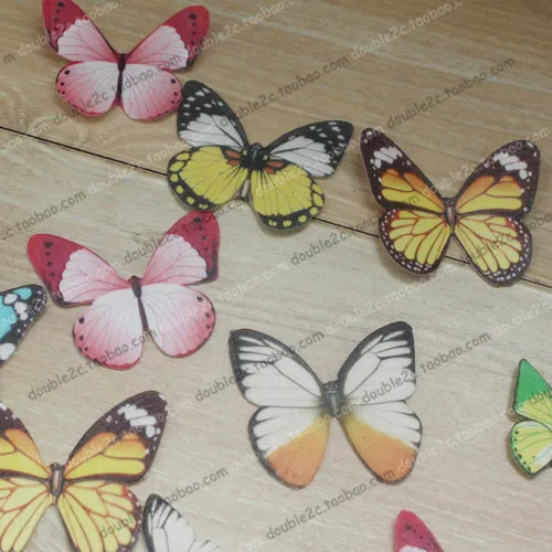edible butterfly 8_