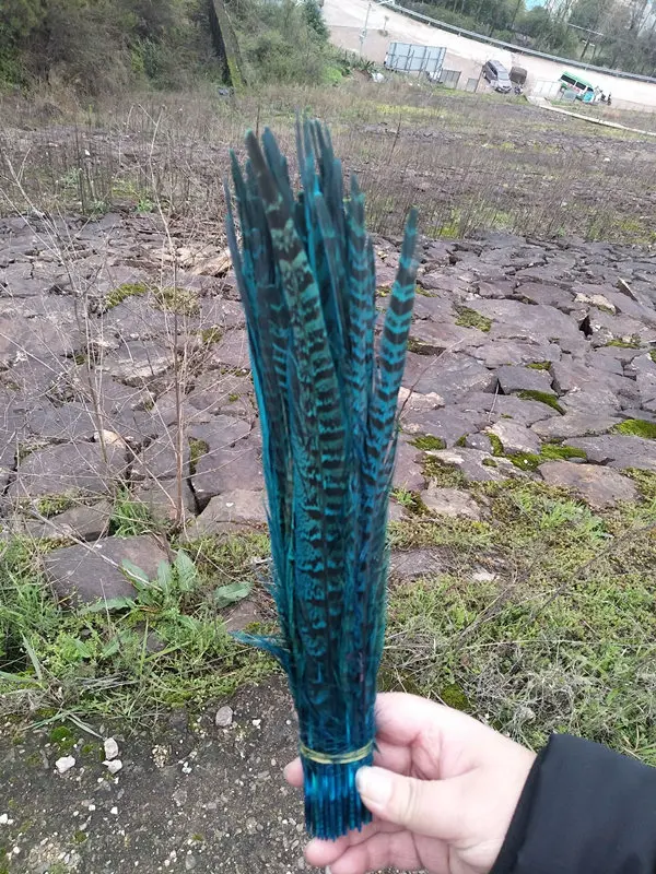 8DB9C042CD4648469D8F3772A8B47F25 -