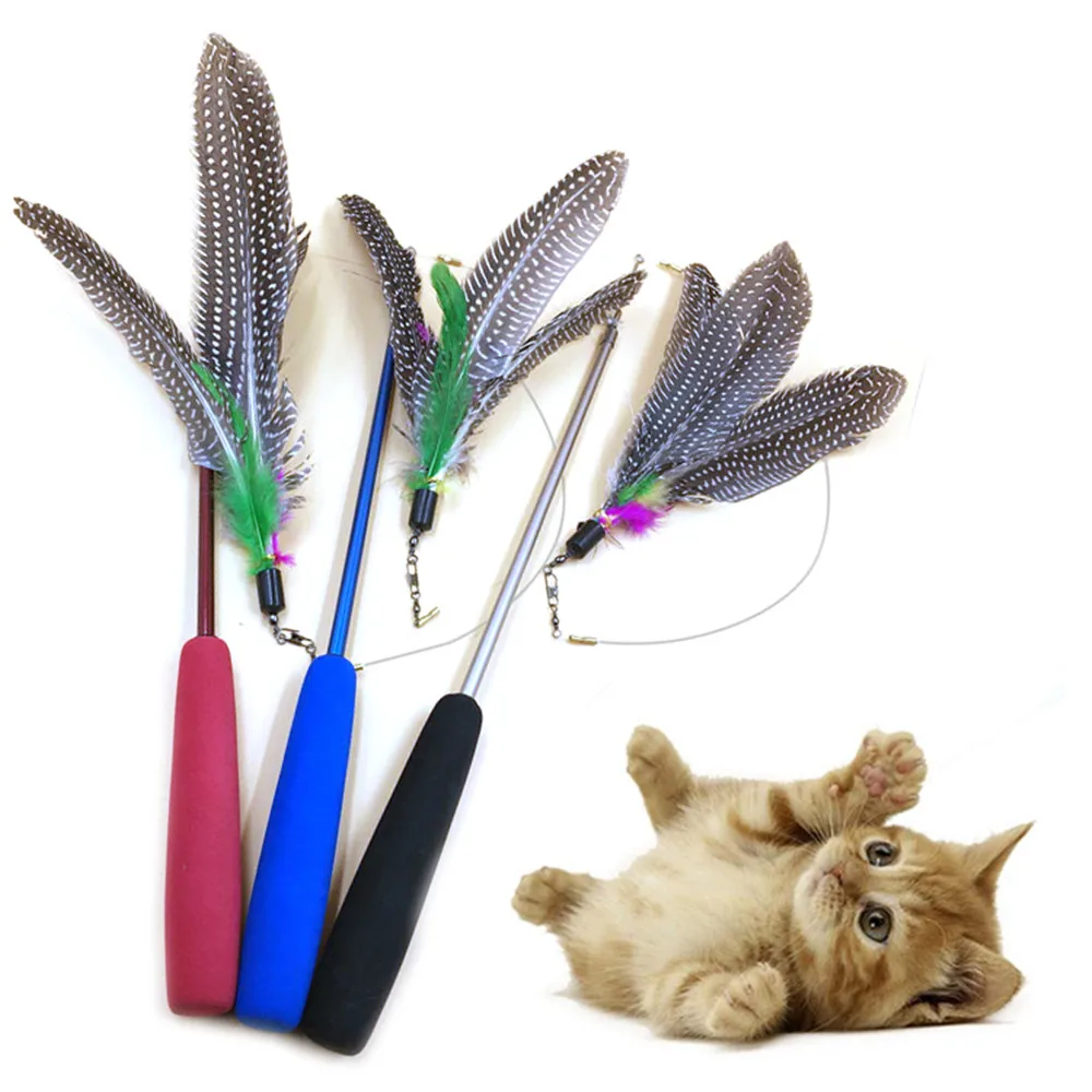 Funny Cat Toy Feathers Tease Cat Sticks For Cat Leap Pet Supplies Three Extensible Sections Fishing Rod
Funny Cat Toy Feathers Tease Cat Sticks For Cat Leap Pet Supplies Three Extensible Sections Fishing Rod