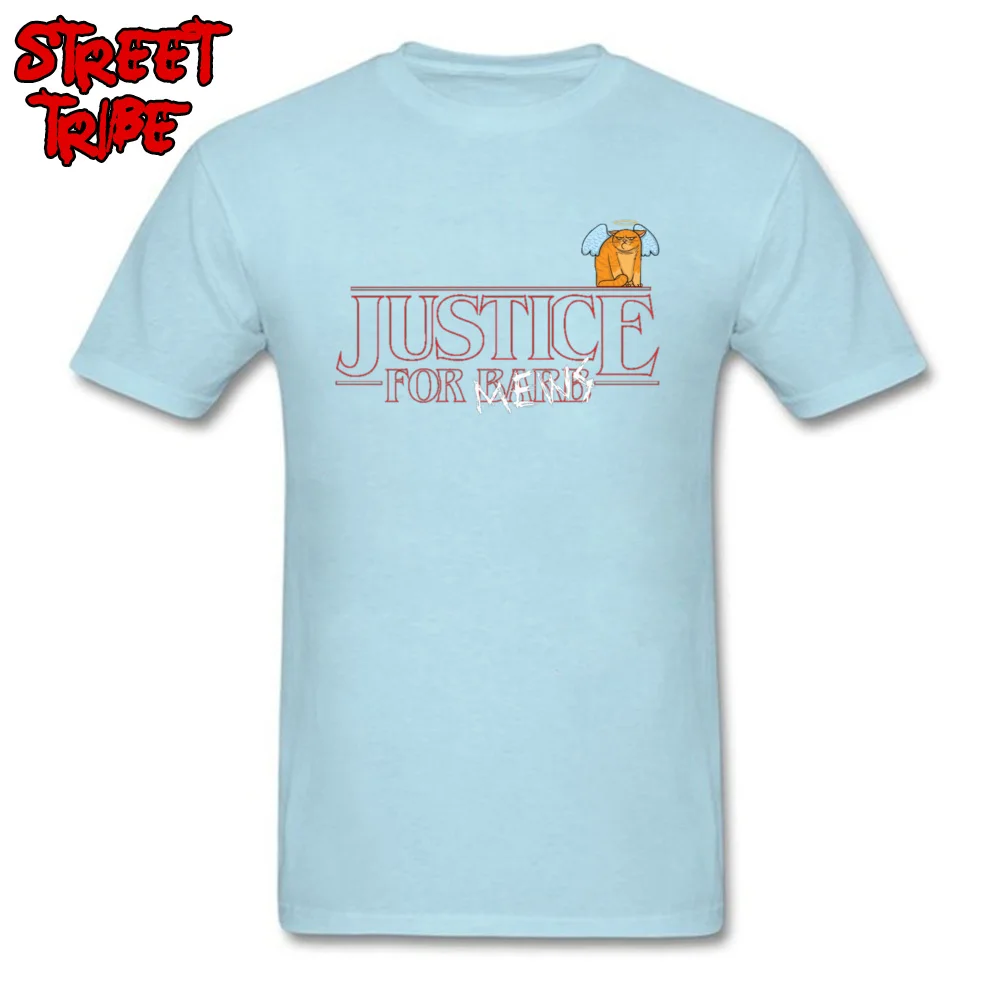Justice For Mews Tshirts Printed On Short Sleeve Hot Sale Round Neck 100% Cotton Tops T Shirt Sweatshirts for Men Summer Fall Justice For Mews light