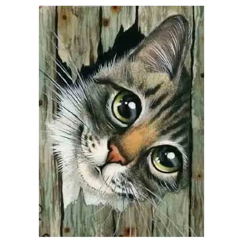 kexinzu Full Square Round Drill 5D DIY Diamond Painting "Animal Cat" 3D Embroidery Cross Stitch Mosaic Home Decor Gift | Дом и сад