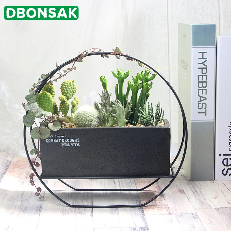 1 Set Cement Vase Succulent Planter Pot Geometric Flower Pot Decorative Bonsai Cactus Planter with Iron Stand (1 Pot + 1 Stand)
1 Set Cement Vase Succulent Planter Pot Geometric Flower Pot Decorative Bonsai Cactus Planter with Iron Stand (1 Pot + 1 Stand)
