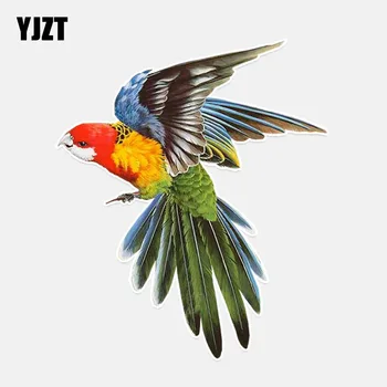 YJZT 13.3*15.7CM Pretty Parrot Flight With Open Wings PVC Decor Car Sticker 11A0108
YJZT 13.3*15.7CM Pretty Parrot Flight With Open Wings PVC Decor Car Sticker 11A0108