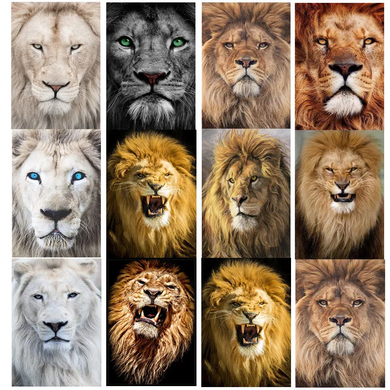 Diamond painting DIY cross stitch cartoon animal diamond embroidery full round diamond home decoration 
Diamond painting DIY cross stitch cartoon animal diamond embroidery full round diamond home decoration