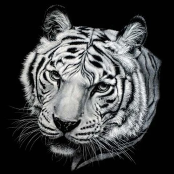 5D DIY Full Drill Diamond Painting White Tiger Pattern Needlework Cross Stitch Diamond Embroidery Wall Stickers Needlework
5D DIY Full Drill Diamond Painting White Tiger Pattern Needlework Cross Stitch Diamond Embroidery Wall Stickers Needlework