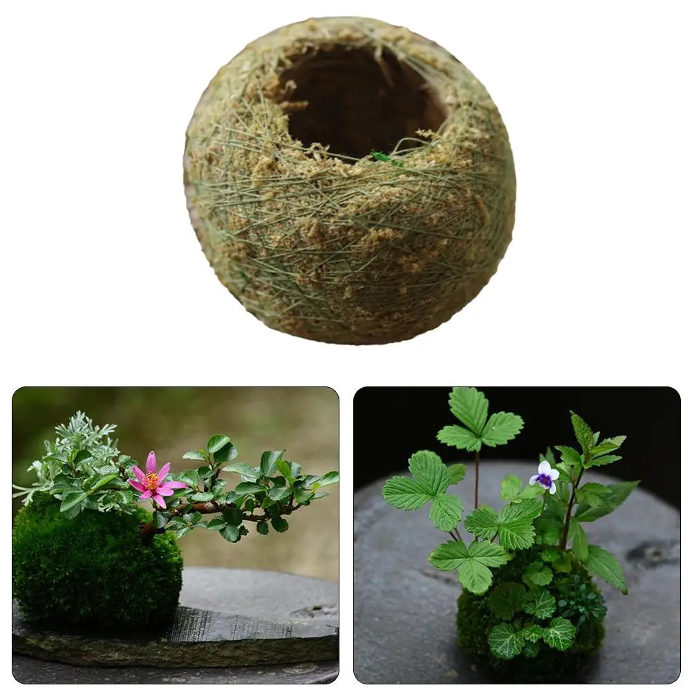 Moss Ball Moss Bonsai Personalized Flower Pot Bird Nest Flower Plant Desk Table Decoration Plantpot Diameter
Moss Ball Moss Bonsai Personalized Flower Pot Bird Nest Flower Plant Desk Table Decoration Plantpot Diameter
