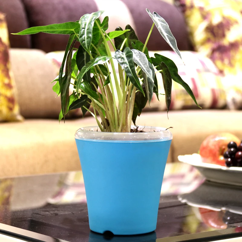 Six color free shipping lazy self absorption water creative personalized plastic flower pot for home and garden
Six color free shipping lazy self absorption water creative personalized plastic flower pot for home and garden