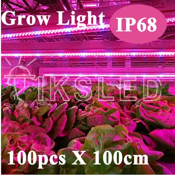 New 1M*100pcs Led bar rigid strip DC12V grow light for a quariumhydroponics growing IP68 waterproof Red and blue
New 1M*100pcs Led bar rigid strip DC12V grow light for a quariumhydroponics growing IP68 waterproof Red and blue