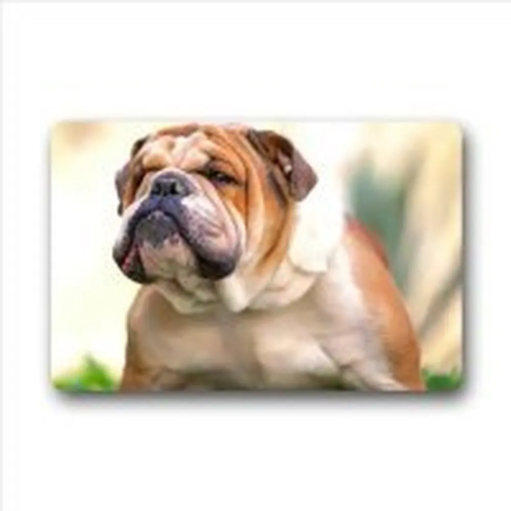 Memory Home Lovely English Bulldog Polyester Fiber Indoor Outdoor Doormat Door Mat Kitchen Bathroom Rug
Memory Home Lovely English Bulldog Polyester Fiber Indoor Outdoor Doormat Door Mat Kitchen Bathroom Rug