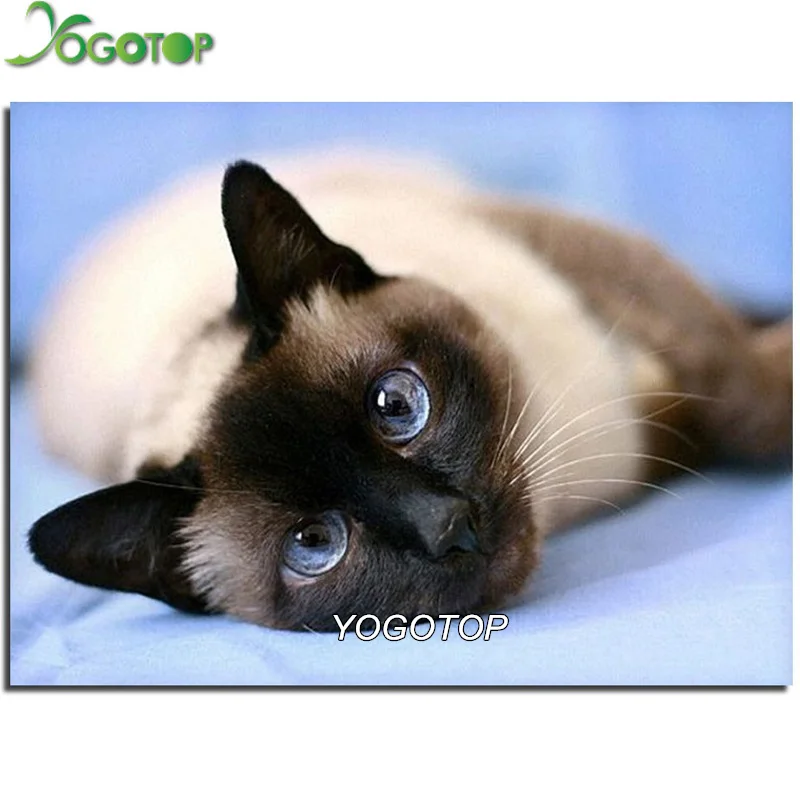 DIY Diamond Painting Cross Stitch 3D Full Round Diamond Embroidery Pattern Rhinestones Mosaic Home Decoration Cat XC566
DIY Diamond Painting Cross Stitch 3D Full Round Diamond Embroidery Pattern Rhinestones Mosaic Home Decoration Cat XC566