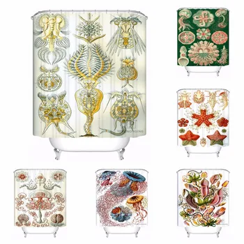Custom Art Haeckel Asteridea Bathroom Acceptable Shower Curtain Polyester Fabric Bathroom Curtain #180318-37-4
Custom Art Haeckel Asteridea Bathroom Acceptable Shower Curtain Polyester Fabric Bathroom Curtain #180318-37-4