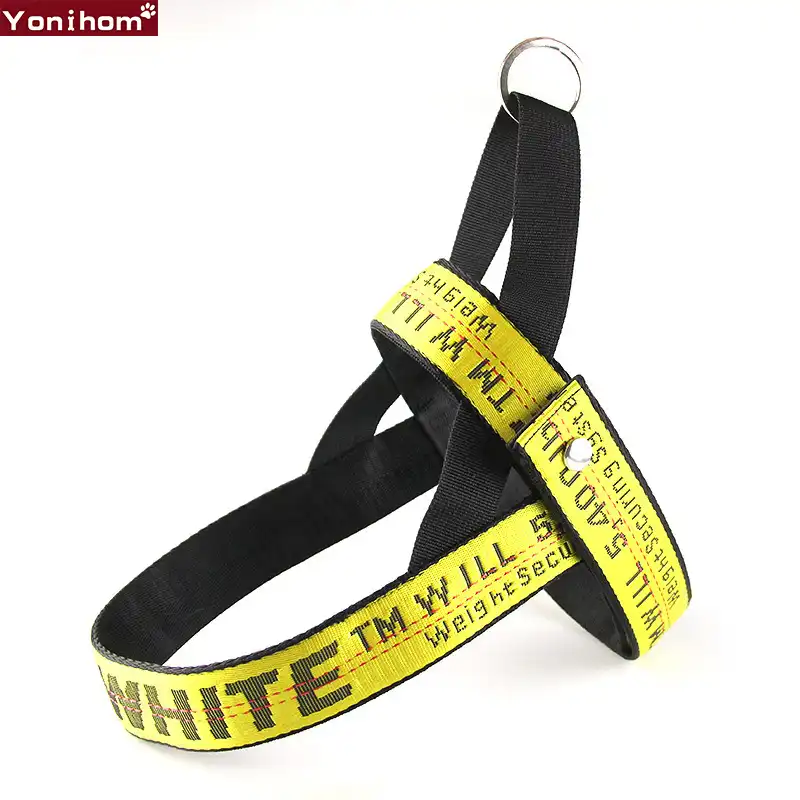 fashion dog collars and leashes