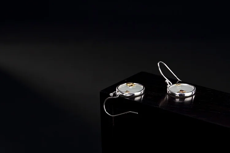 agate silver earrings for girls 16