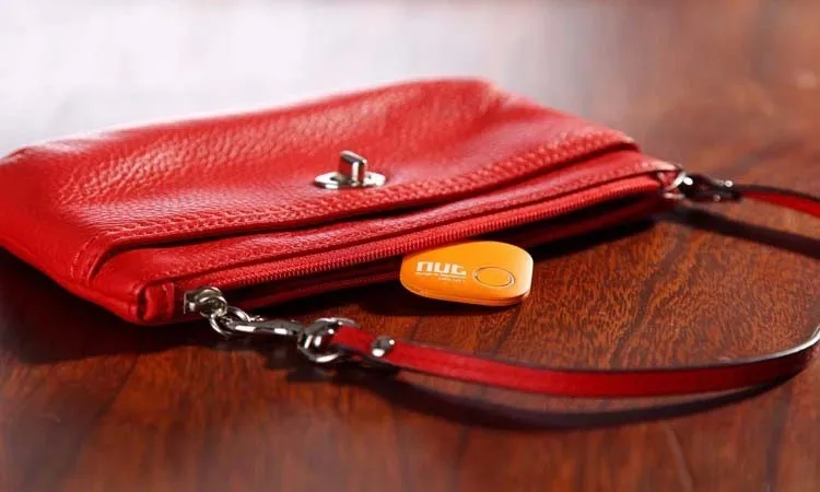 HTB1jqULJXXXXXXzXXXXq6xXFXXXf