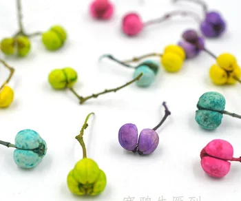 100pcs Dried Dyed Sapium Sebiferum (L.) Roxb. Fruit For Epoxy Resin Pendant Necklace Jewelry Making Craft DIY Accessories
100pcs Dried Dyed Sapium Sebiferum (L.) Roxb. Fruit For Epoxy Resin Pendant Necklace Jewelry Making Craft DIY Accessories