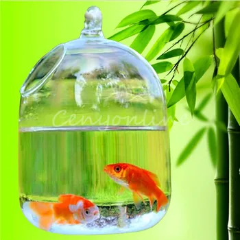 1pc Glass Vase Home DecorAquarium Suitable for Cultivation of Hydroponic Plant Breeding Type of Small Fish 14x10cm
1pc Glass Vase Home DecorAquarium Suitable for Cultivation of Hydroponic Plant Breeding Type of Small Fish 14x10cm