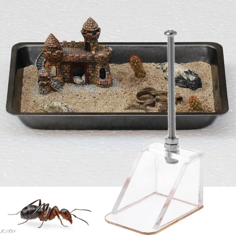 Dust Cleaning Device for Ant nest Cleaning Tool Ant farm Ant House acryl or insect ant nests villa pet mania for house Arcylic
Dust Cleaning Device for Ant nest Cleaning Tool Ant farm Ant House acryl or insect ant nests villa pet mania for house Arcylic